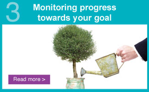 Monitoring progress towards your goal